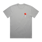 Candy Shop T-Shirt Faded Storm